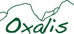 Oxalis