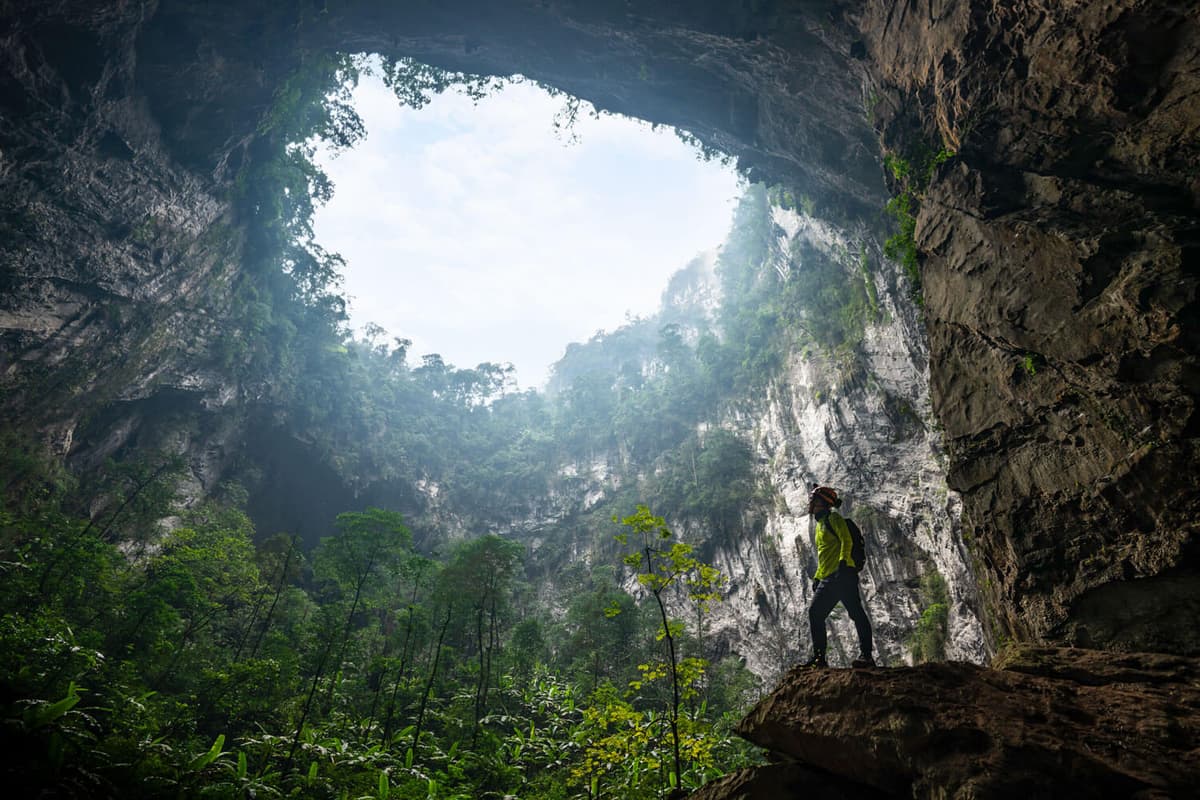 Doline 2 - Garden of Edam - A jungle inside the Son Doong Cave.