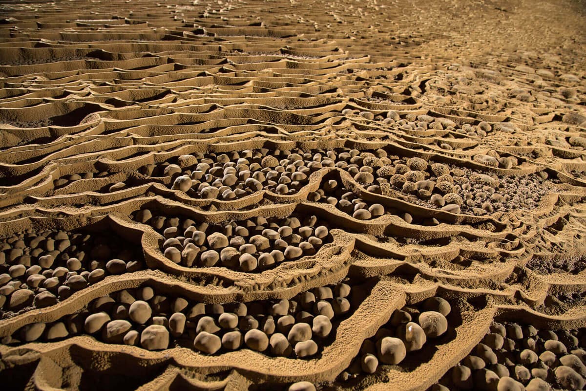Cave pearls were formed from water carrying calcite carbonate dropping from the ceiling into pools on the floor of the cave over hundreds of years.