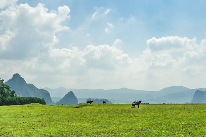 The tranquil landscape leading to Rao Nan River.