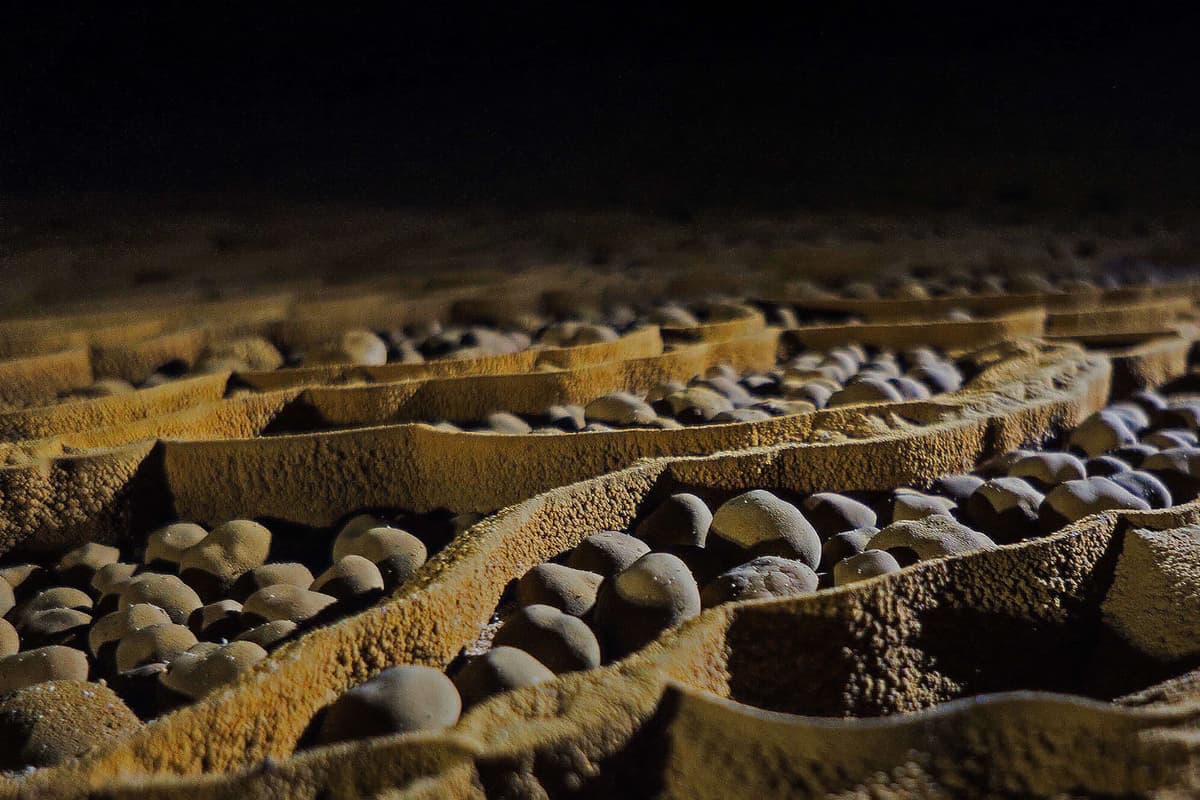 Cave pearl in Son Doong Cave have many different shapes and sizes, from as small as peas to as big as baseballs.