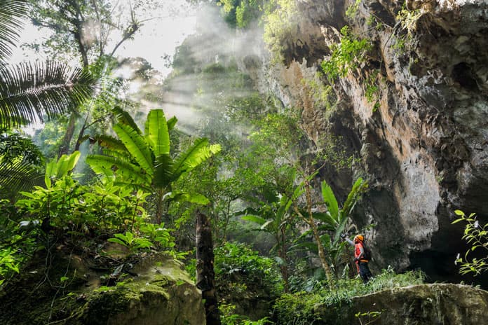 Exploring the Enigmatic Rainforest of Son Doong Cave