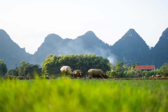 Tân Hoá - Làng du lịch thích ứng thời tiết