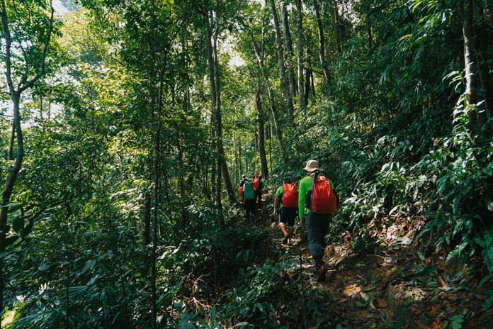 Trekking through the tropical forest in Phong Nha-Ke Bang