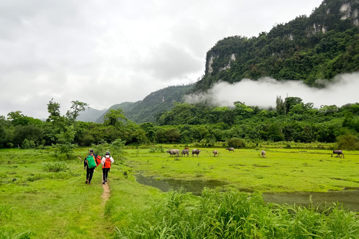 Oxalis Adventure - The Net Zero Tourism Model In Vietnam