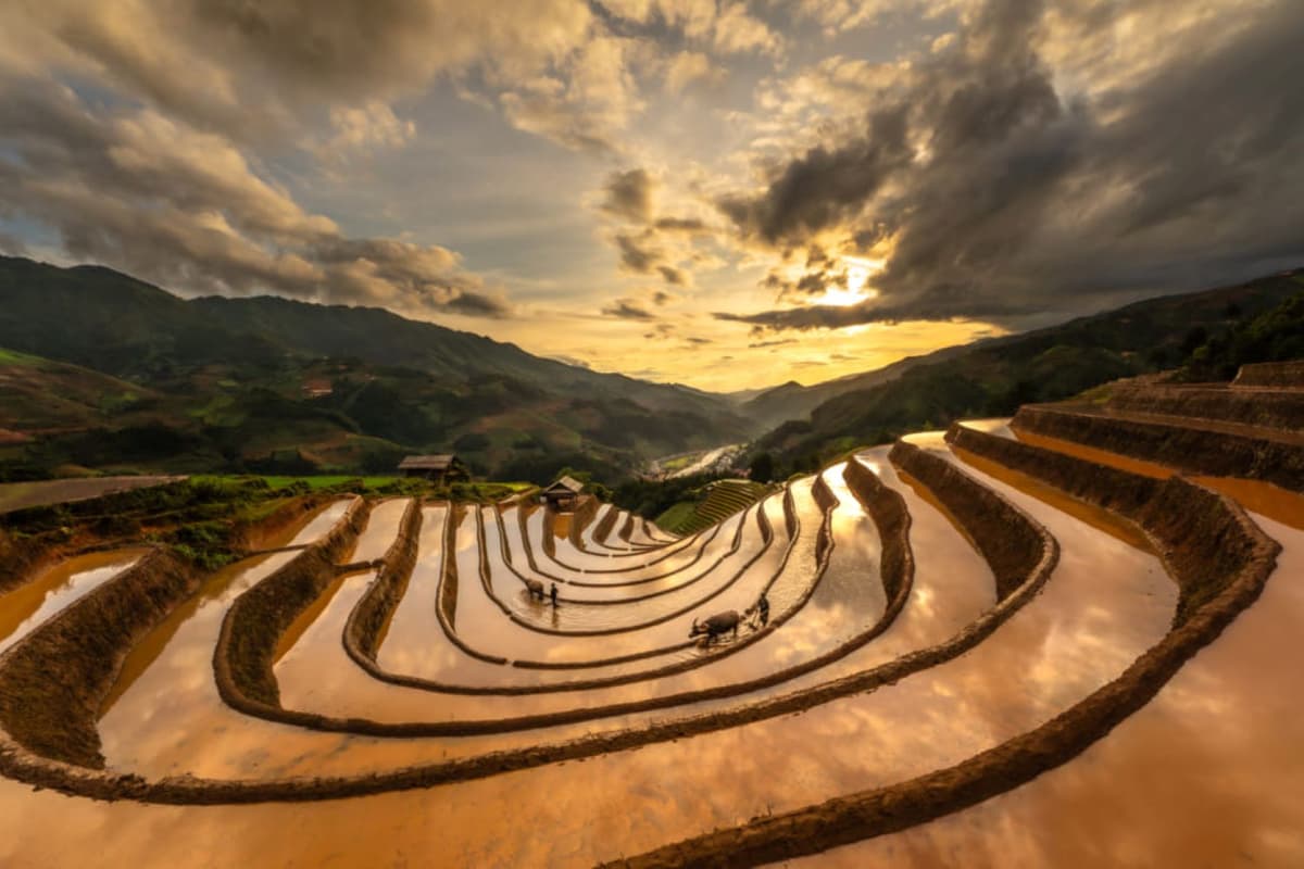 Unveiling the Emerald Majesty: Adventures Await in Vietnam