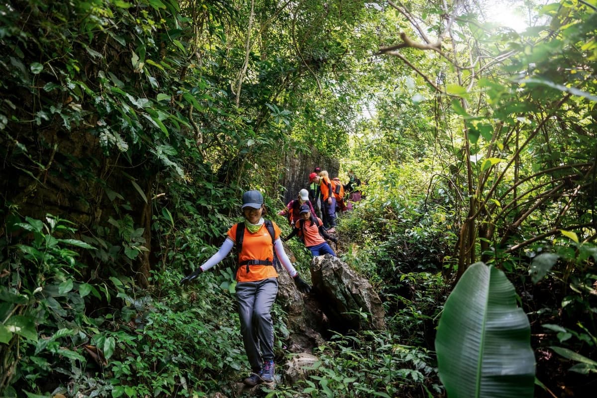 Trekking là gì? 5 cung đường trekking Việt Nam tuyệt đẹp