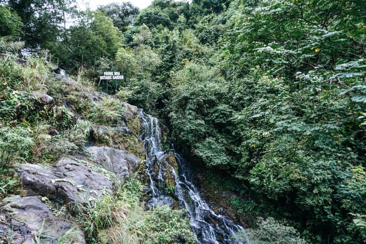 Phong Nha Botanic Garden – Explore Quang Binh’s Fascinating Ecosystem