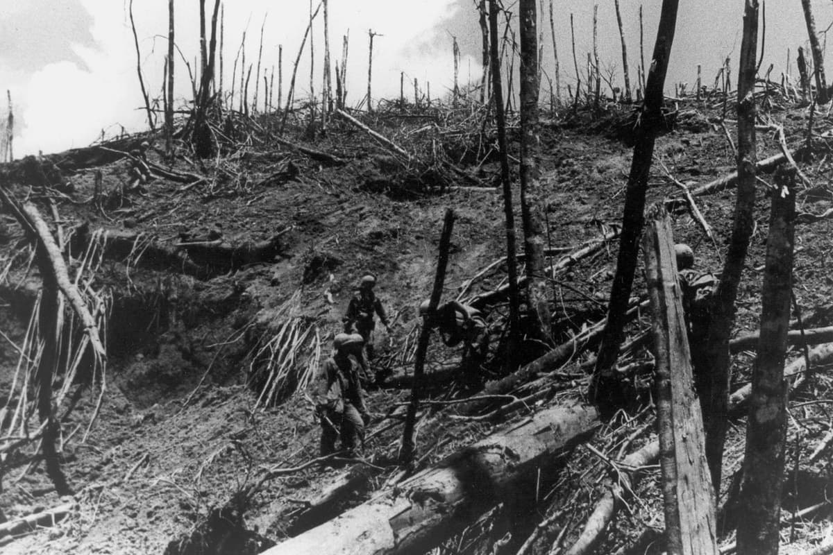 Hamburger Hill: History, location, and how to visit