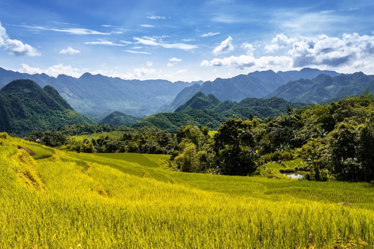 Travel to Pu Luong: Nature, culture, and the green trails