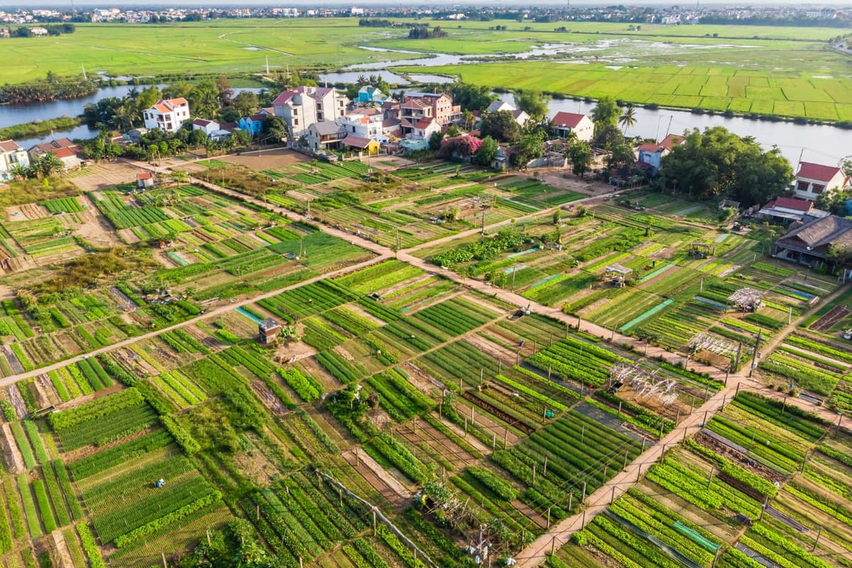 Tra Que Village Hoi An: A day of farming in the ancient town