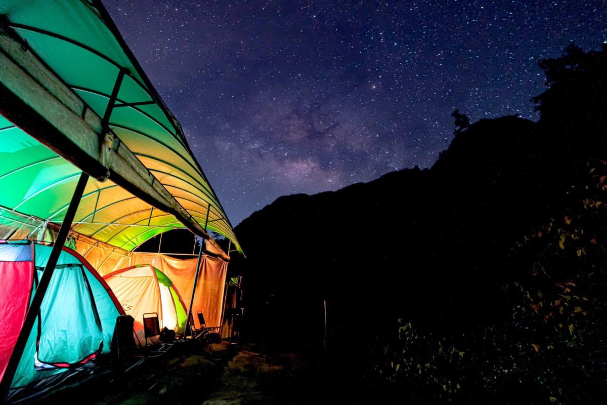 Milky Way Stargazing Experience in the Forest with Oxalis